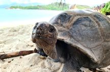 La Digue, Curiuese, St. Pierre, Anse Lazio by boat from Mahe (Private Boat)
