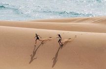 Beach Quadbiking and sand dunes