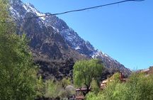 Ourika Valley and Atlas Mountains Day Trip 