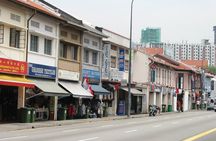Private Singapore Full Day Highlights Tour with River Cruise Ride