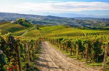 "Langhe del Barolo" Private E-bike Tour - Asphalt and Dirt Road
