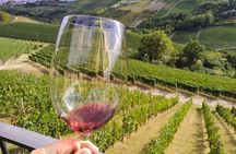 Private E-bike Tour " Langhe del Barbaresco " - Asphalt only