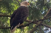 “OVER THE TOP TOURS” city highlights, wildlife and more!