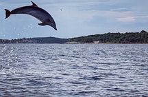 Dolphin Sunrise Adventure with Speedboat