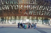 Cardiff Bay Private Guided Walking Tour 