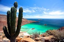 Full-Day Tour Nature Experience at Isla Espiritu Santo! + Round Transportation