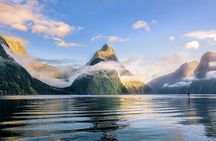 Premium Milford Sound Small Group Tour & Cruise from Queenstown 