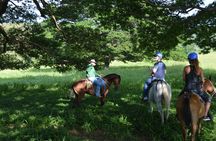Horseback Riding 2hrs - Dreams Las Mareas
