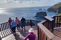Breakfast Bushwalk & Clifftop BBQ Tour 
