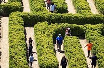 Wine and literature tour in Mendoza: trip to the Borges Labyrinth
