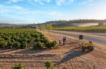 Unique Trike Barossa Valley Half Day Private Tour For 2