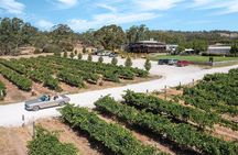 Classic Mustang Convertible Barossa Valley Half Day Private Tour For 2