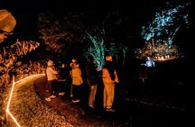 Wonderland by Night Norfolk Island 