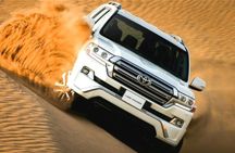 Dubai: Red Dunes Desert Safari, Camel ride, Sandboard, Quad Bike