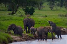 5 Days Northern Tanzania Safari- Lodging
