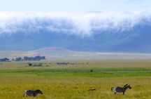 5 Days Northern Tanzania Safari- Lodging
