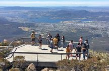 Easy Bike Tour - Mt Wellington Summit Descent & Rainforest Ride