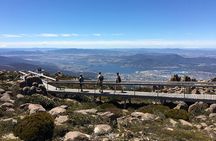 Easy Bike Tour - Mt Wellington Summit Descent & Rainforest Ride