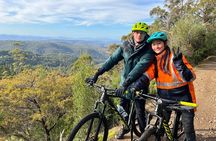 Easy Bike Tour - Mt Wellington Summit Descent & Rainforest Ride