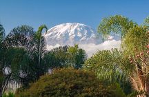 5 Days Kilimanjaro Trekking - Marangu Route