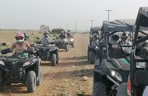 Ballad Quad and Buggy Agadir