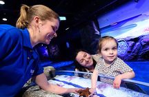 SEA LIFE London Aquarium Admission Ticket