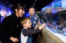 SEA LIFE London Aquarium Admission Ticket