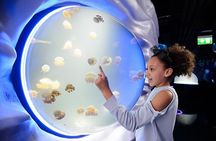 SEA LIFE London Aquarium Admission Ticket