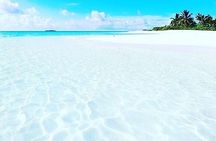 Dolphin Tour, Jozani Forest Tour, Kuza Cave Tour, Paje Beach,The Rock Restaurant