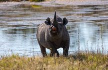 7-Day Midrange Tanzania Safari Adventures (Big 5)