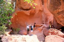 Full-Day Tour Nature Experience at Isla Espiritu Santo! + Round Transportation