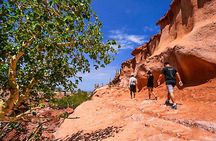 Full-Day Tour Nature Experience at Isla Espiritu Santo! + Round Transportation