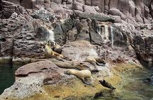 Espiritu Santo Island Full-Day Cruise with Snorkeling and Lunch! Round Trip