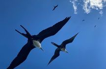 Eco Safari through the Ria Lagartos Natural Park