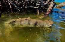 Eco Safari through the Ria Lagartos Natural Park