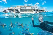 Great Barrier Reef Full Day Adventure