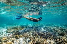 Great Barrier Reef Full Day Adventure
