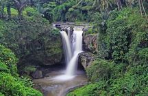 Bali Inclusive Tour: Best Waterfalls Around Ubud Area