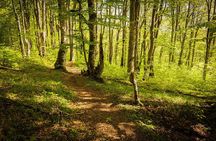 Plitvice Lakes Tour from Split with Entrance Ticket included