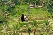 Ubud Waterfall Swing And Spring Temple Private Guided Tour