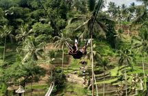 Ubud Waterfall Swing And Spring Temple Private Guided Tour