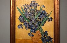 Van Gogh Museum, Rijks Museum & Walking Tour - Private Day Tour