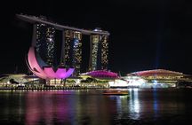 Singapore by Night Top Senic Sightseeing Private Tour 