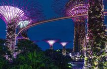 Singapore by Night Top Senic Sightseeing Private Tour 