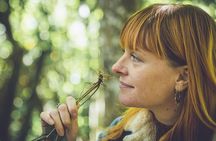 Learn to forage in Llangollen