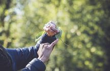 Learn to forage in Llangollen