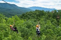 Mountaintop Zipline 2-Hours Activity
