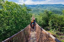 Mountaintop Zipline 2-Hours Activity