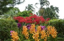 Half-day Singapore Sightseeing Private Tour 