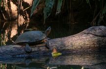 Clear Kayak Tour at Punta Uva 